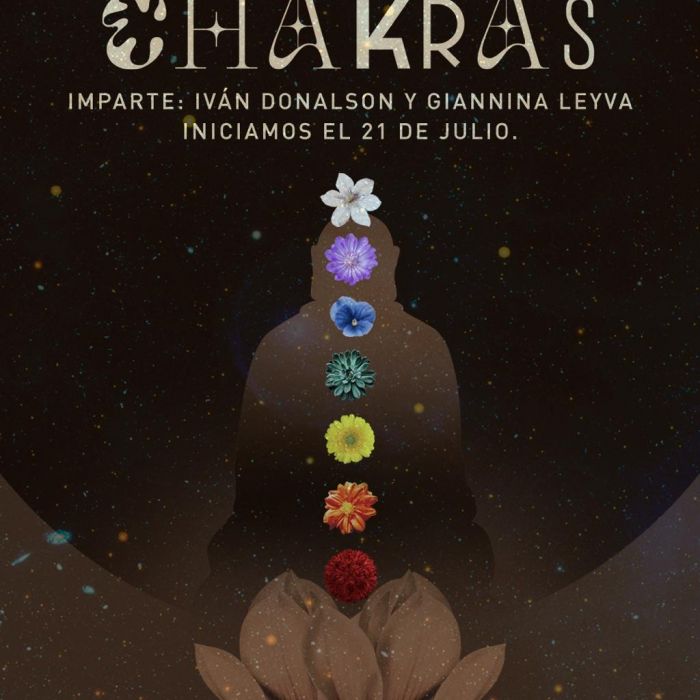 Taller de Chakras