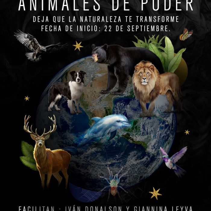 Taller Animales de Poder